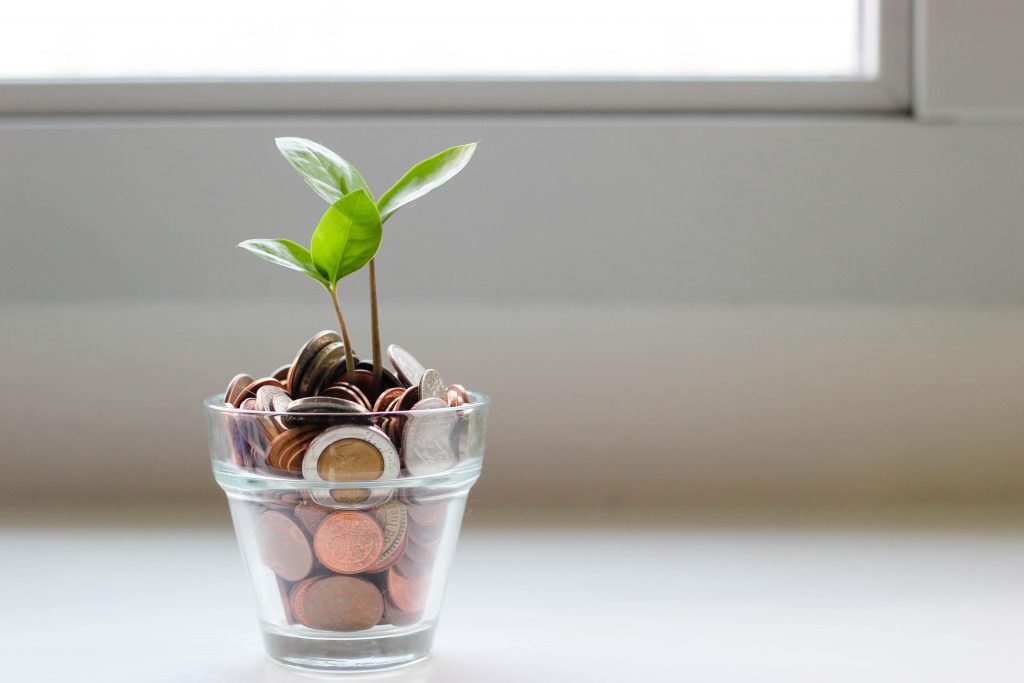 Glas mit Münzen und einer Pflanze